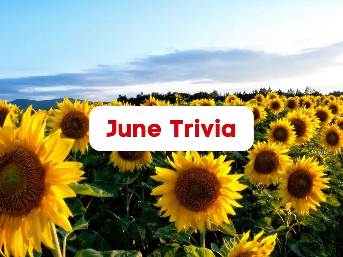 55 June Trivia Questions And Answers (2023) - Antimaximalist