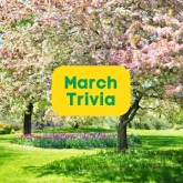 image of march trivia